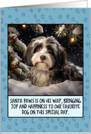 Havanese Dog Christmas card