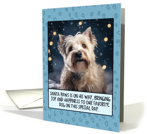 Glen of Imaal Terrier Christmas card (1805304)