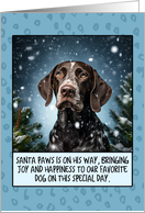 German shorthaired Pointer Christmas card