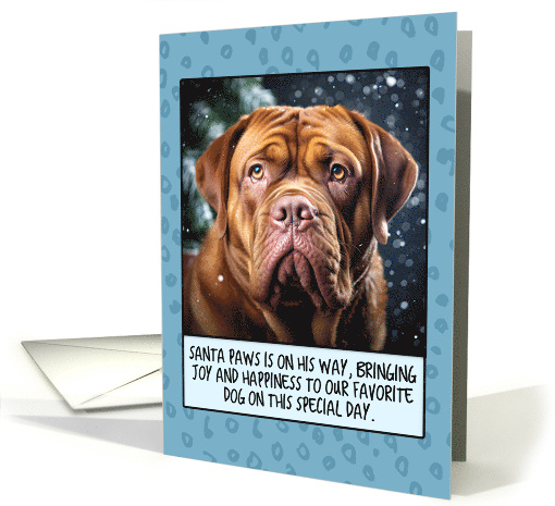 French Mastiff Christmas card (1805326)