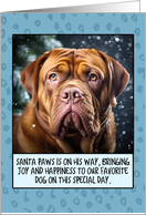 French Mastiff Christmas card