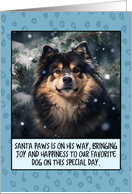 Finnish Lapphund Christmas card