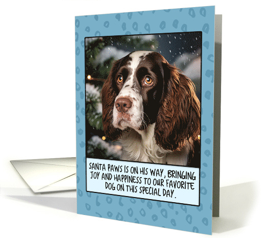 English Springer Spaniel Christmas card (1805382)