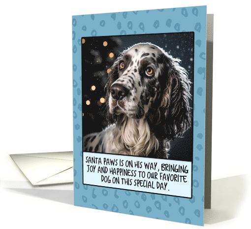 English Setter Christmas card (1805384)
