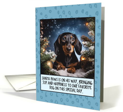 Dachshund Christmas card (1805386)