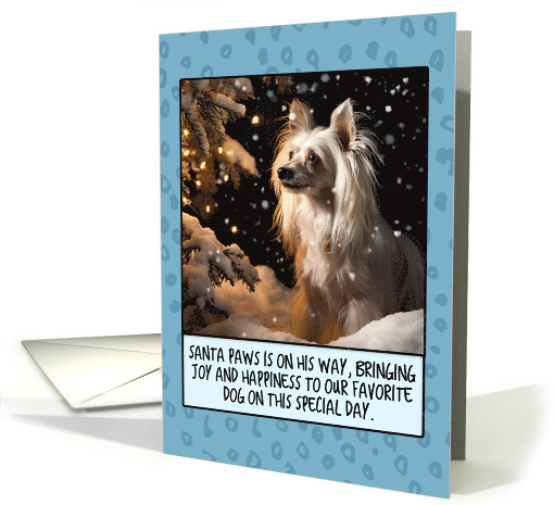 Chinese Crested Dog Christmas card (1805396)
