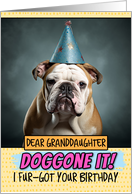 Granddaughter Doggone It Belated Birthday Wishes English Bulldog card