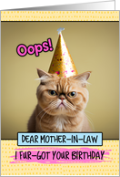 Mother in Law Belated Birthday Wishes Cat card