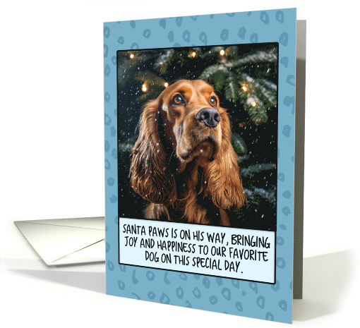 Cocker Spaniel Christmas card (1806104)