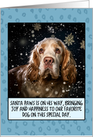 Clumber Spaniel Christmas card