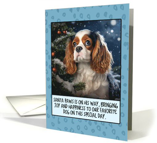 Cavalier King Charles Spaniel Christmas card (1806108)