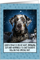 Catahoula Leopard Dog Christmas card