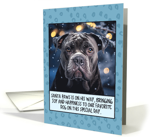 Cane Corso Christmas card (1806114)