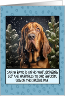 Bloodhound Christmas card