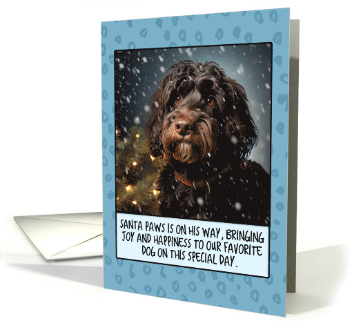 Barbet Christmas card (1806126)