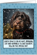 Barbet Christmas card