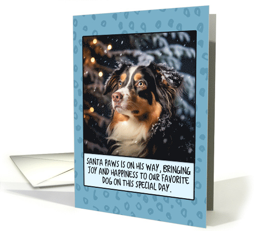 Australian Shepherd Christmas card (1806128)