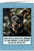 Australian Kelpie Christmas card