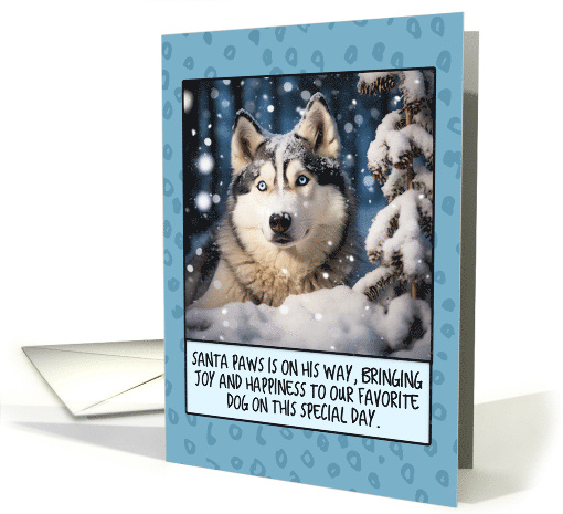 Alaskan Husky Christmas card (1806132)