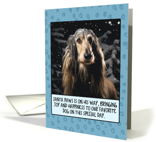 Afghan Hound Christmas card (1806134)