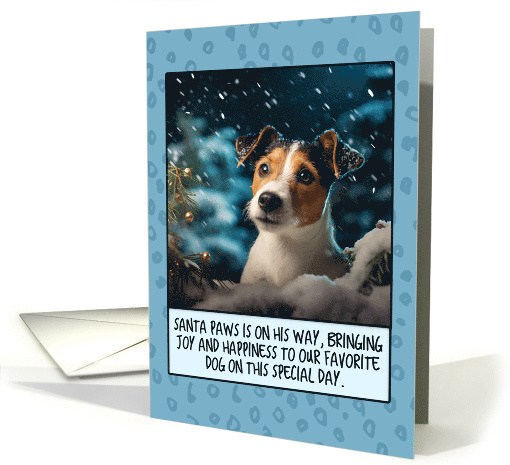 Jack Russell Terrier Christmas card (1806142)