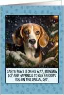 Beagle Christmas card