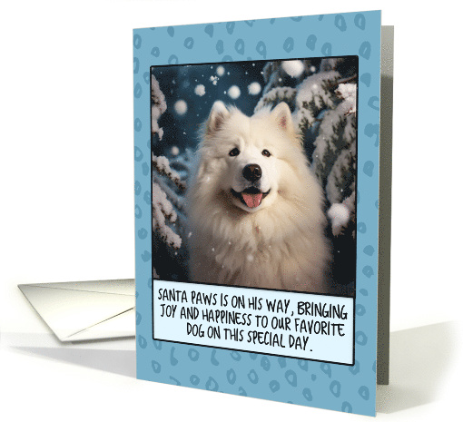 Samoyed Christmas card (1806150)