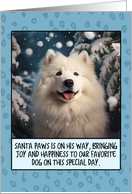 Samoyed Christmas card