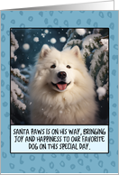 Samoyed Christmas