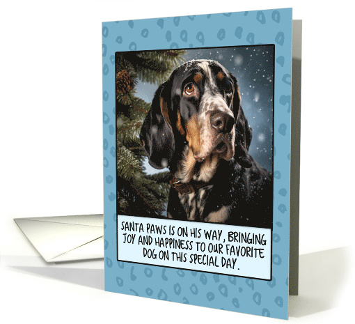 Bluetick Coonhound Christmas card (1806230)