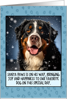 Bernese Mountain Dog Christmas card