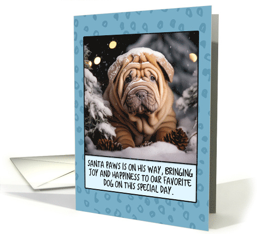 Shar Pei Christmas card (1806242)