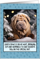 Shar Pei Christmas card