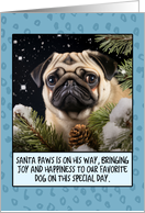 Pug Christmas