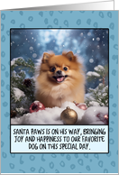 Pomeranian Christmas card