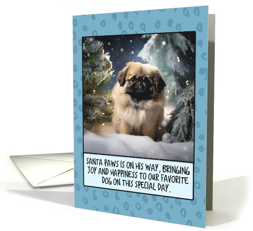 Pekingese Christmas card (1806258)