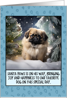 Pekingese Christmas card