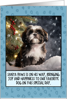 Shih Tzu Christmas card
