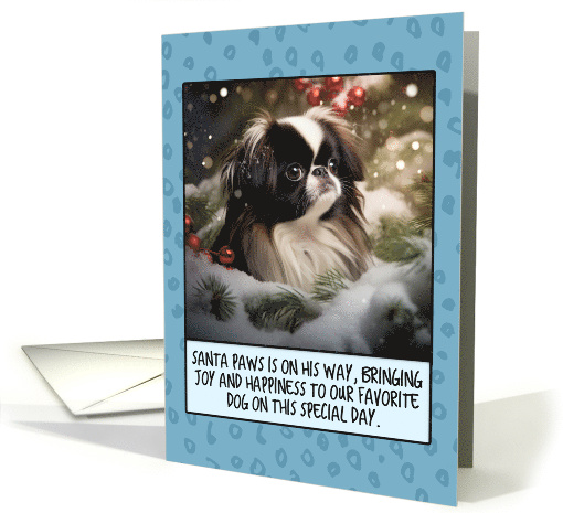 Japanese Chin Christmas card (1806262)