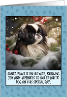 Japanese Chin Christmas card