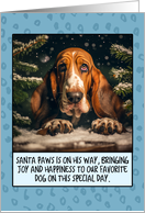 Basset Hound Christmas card