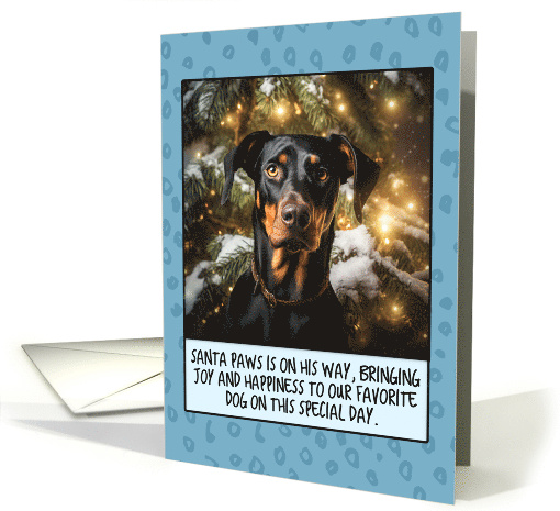 Dobermann Christmas card (1806272)