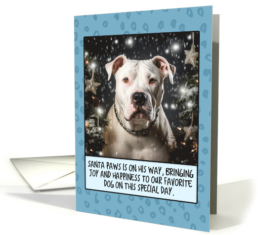 Dogo Argentino Christmas card (1806276)