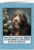 Bergamasco Christmas card