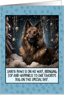 Belgian Tervuren Christmas card