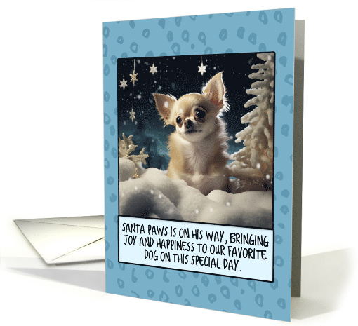 Chihuahua Christmas card (1806360)