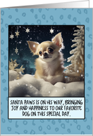 Chihuahua Christmas card