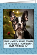 Boston Terrier Christmas card