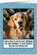 Golden Retriever Christmas card