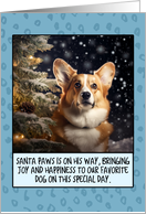 Pembroke Welsh Corgi Christmas card
